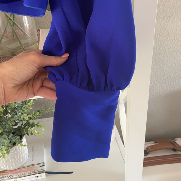 Babaton Parsons blouse sz L - Picture 6 of 6